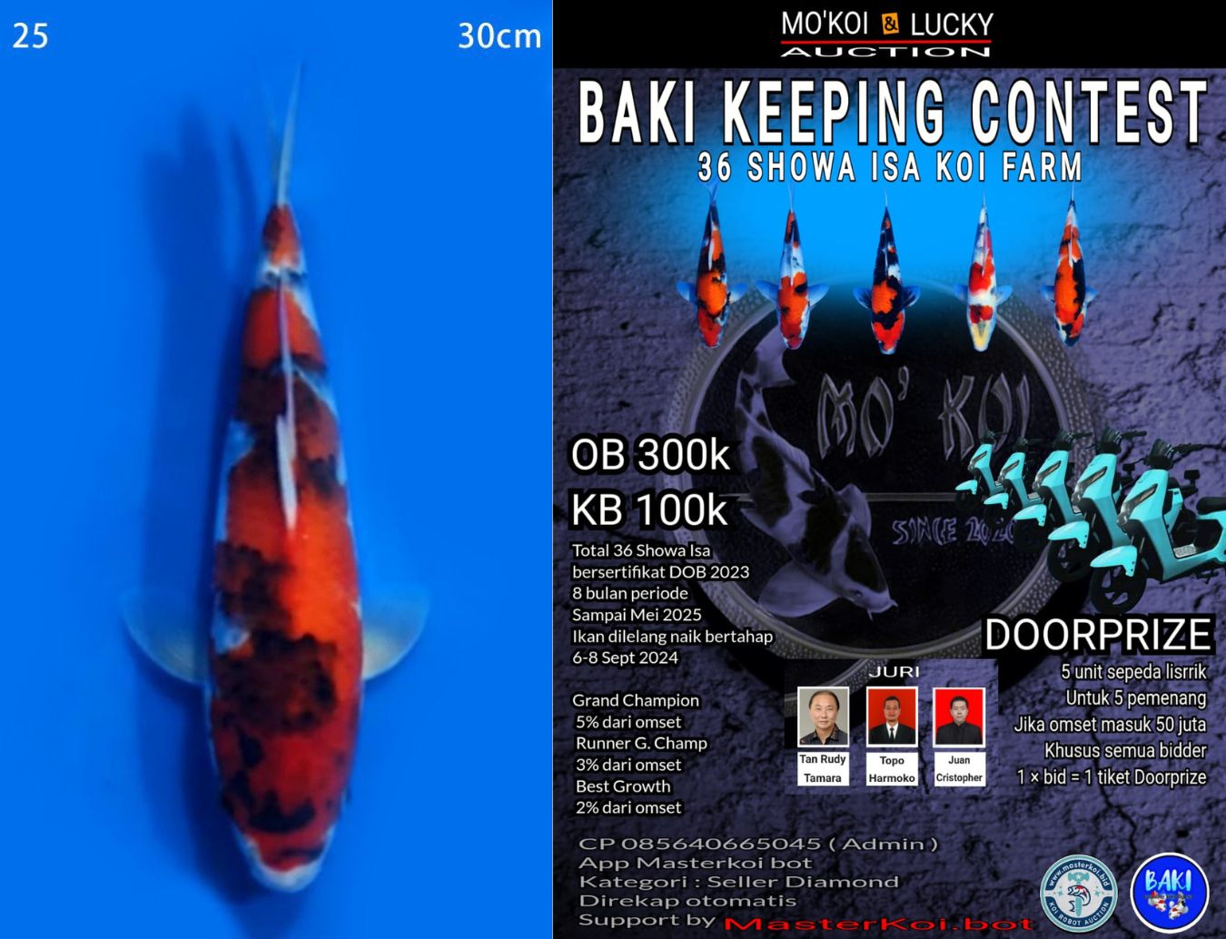 Lelang Koi Online, Jual Beli Ikan Koi, Pusat Jual Beli Koi, Info Lelang Koi Hari Ini, Platform Jual Beli Koi, Jual Beli Ikan Koi Online, Marketplace Ikan Koi, Jual Koi Terbaik, Tempat Beli Koi Berkualitas, Pasar Ikan Koi Online Terpercaya, Penjual Ikan Koi Terpercaya, Beli Koi Hias Online, Ikan Koi untuk Dijual, Koi Kualitas Terbaik, Toko Online Ikan Koi, Koi Hias Untuk Dijual, Jual Beli Ikan Koi Lokal, Koi Indonesia Online, Pusat Jual Beli Koi Terbesar