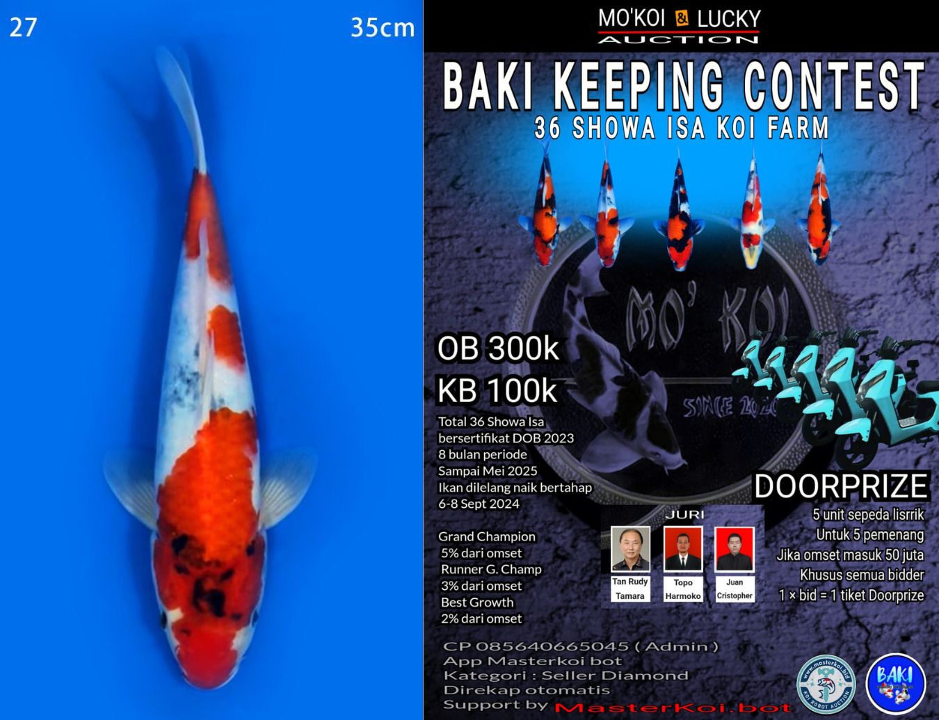 Lelang Koi Online, Jual Beli Ikan Koi, Pusat Jual Beli Koi, Info Lelang Koi Hari Ini, Platform Jual Beli Koi, Jual Beli Ikan Koi Online, Marketplace Ikan Koi, Jual Koi Terbaik, Tempat Beli Koi Berkualitas, Pasar Ikan Koi Online Terpercaya, Penjual Ikan Koi Terpercaya, Beli Koi Hias Online, Ikan Koi untuk Dijual, Koi Kualitas Terbaik, Toko Online Ikan Koi, Koi Hias Untuk Dijual, Jual Beli Ikan Koi Lokal, Koi Indonesia Online, Pusat Jual Beli Koi Terbesar