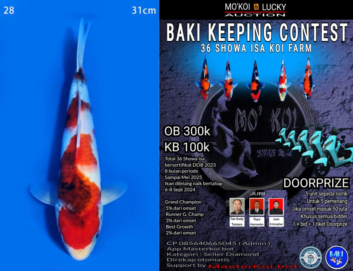 Lelang Koi Online, Jual Beli Ikan Koi, Pusat Jual Beli Koi, Info Lelang Koi Hari Ini, Platform Jual Beli Koi, Jual Beli Ikan Koi Online, Marketplace Ikan Koi, Jual Koi Terbaik, Tempat Beli Koi Berkualitas, Pasar Ikan Koi Online Terpercaya, Penjual Ikan Koi Terpercaya, Beli Koi Hias Online, Ikan Koi untuk Dijual, Koi Kualitas Terbaik, Toko Online Ikan Koi, Koi Hias Untuk Dijual, Jual Beli Ikan Koi Lokal, Koi Indonesia Online, Pusat Jual Beli Koi Terbesar