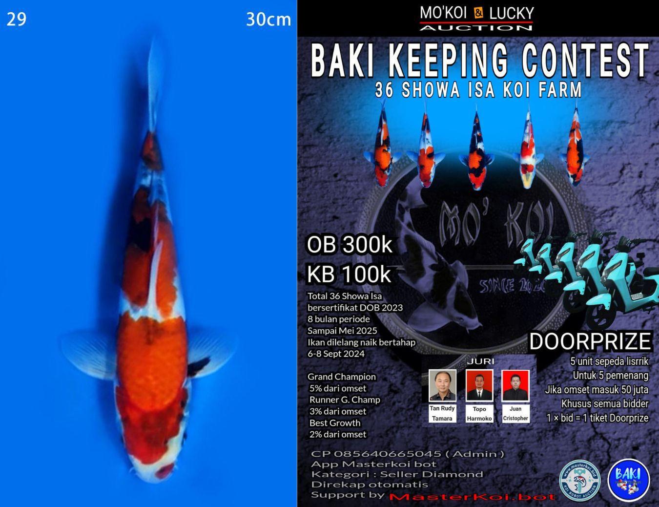 Lelang Koi Online, Jual Beli Ikan Koi, Pusat Jual Beli Koi, Info Lelang Koi Hari Ini, Platform Jual Beli Koi, Jual Beli Ikan Koi Online, Marketplace Ikan Koi, Jual Koi Terbaik, Tempat Beli Koi Berkualitas, Pasar Ikan Koi Online Terpercaya, Penjual Ikan Koi Terpercaya, Beli Koi Hias Online, Ikan Koi untuk Dijual, Koi Kualitas Terbaik, Toko Online Ikan Koi, Koi Hias Untuk Dijual, Jual Beli Ikan Koi Lokal, Koi Indonesia Online, Pusat Jual Beli Koi Terbesar