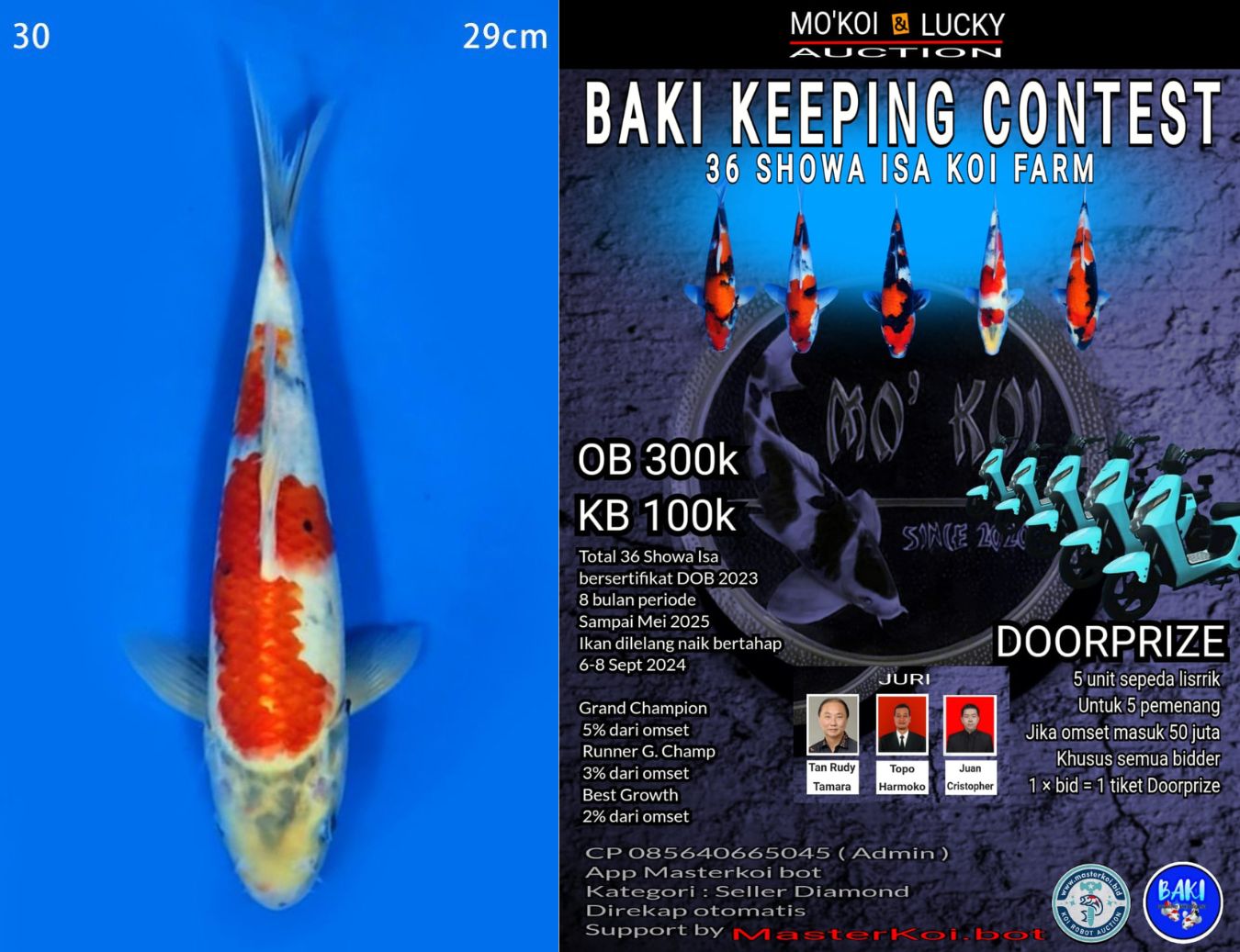 Lelang Koi Online, Jual Beli Ikan Koi, Pusat Jual Beli Koi, Info Lelang Koi Hari Ini, Platform Jual Beli Koi, Jual Beli Ikan Koi Online, Marketplace Ikan Koi, Jual Koi Terbaik, Tempat Beli Koi Berkualitas, Pasar Ikan Koi Online Terpercaya, Penjual Ikan Koi Terpercaya, Beli Koi Hias Online, Ikan Koi untuk Dijual, Koi Kualitas Terbaik, Toko Online Ikan Koi, Koi Hias Untuk Dijual, Jual Beli Ikan Koi Lokal, Koi Indonesia Online, Pusat Jual Beli Koi Terbesar