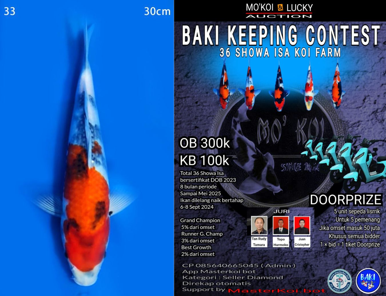 Lelang Koi Online, Jual Beli Ikan Koi, Pusat Jual Beli Koi, Info Lelang Koi Hari Ini, Platform Jual Beli Koi, Jual Beli Ikan Koi Online, Marketplace Ikan Koi, Jual Koi Terbaik, Tempat Beli Koi Berkualitas, Pasar Ikan Koi Online Terpercaya, Penjual Ikan Koi Terpercaya, Beli Koi Hias Online, Ikan Koi untuk Dijual, Koi Kualitas Terbaik, Toko Online Ikan Koi, Koi Hias Untuk Dijual, Jual Beli Ikan Koi Lokal, Koi Indonesia Online, Pusat Jual Beli Koi Terbesar