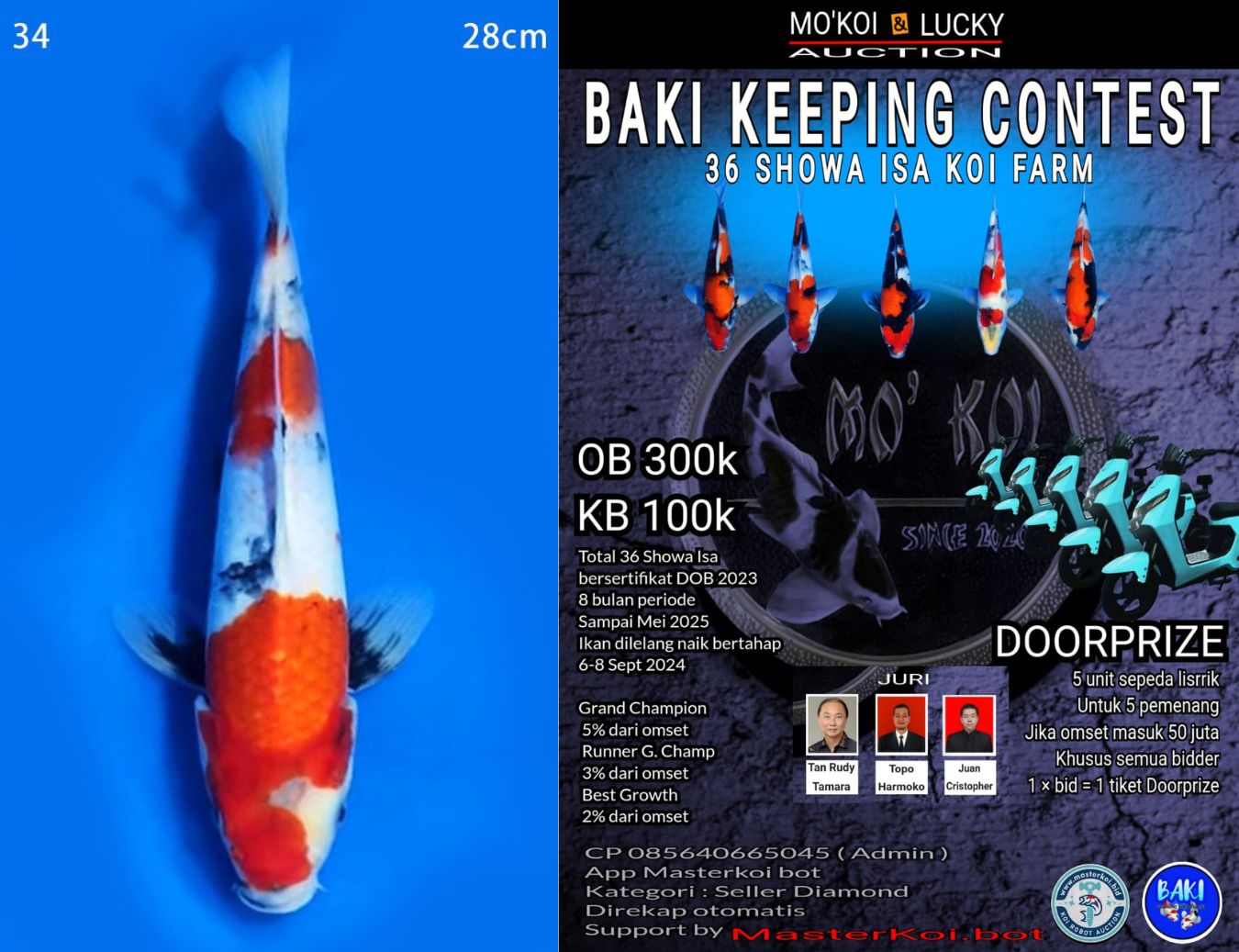 Lelang Koi Online, Jual Beli Ikan Koi, Pusat Jual Beli Koi, Info Lelang Koi Hari Ini, Platform Jual Beli Koi, Jual Beli Ikan Koi Online, Marketplace Ikan Koi, Jual Koi Terbaik, Tempat Beli Koi Berkualitas, Pasar Ikan Koi Online Terpercaya, Penjual Ikan Koi Terpercaya, Beli Koi Hias Online, Ikan Koi untuk Dijual, Koi Kualitas Terbaik, Toko Online Ikan Koi, Koi Hias Untuk Dijual, Jual Beli Ikan Koi Lokal, Koi Indonesia Online, Pusat Jual Beli Koi Terbesar