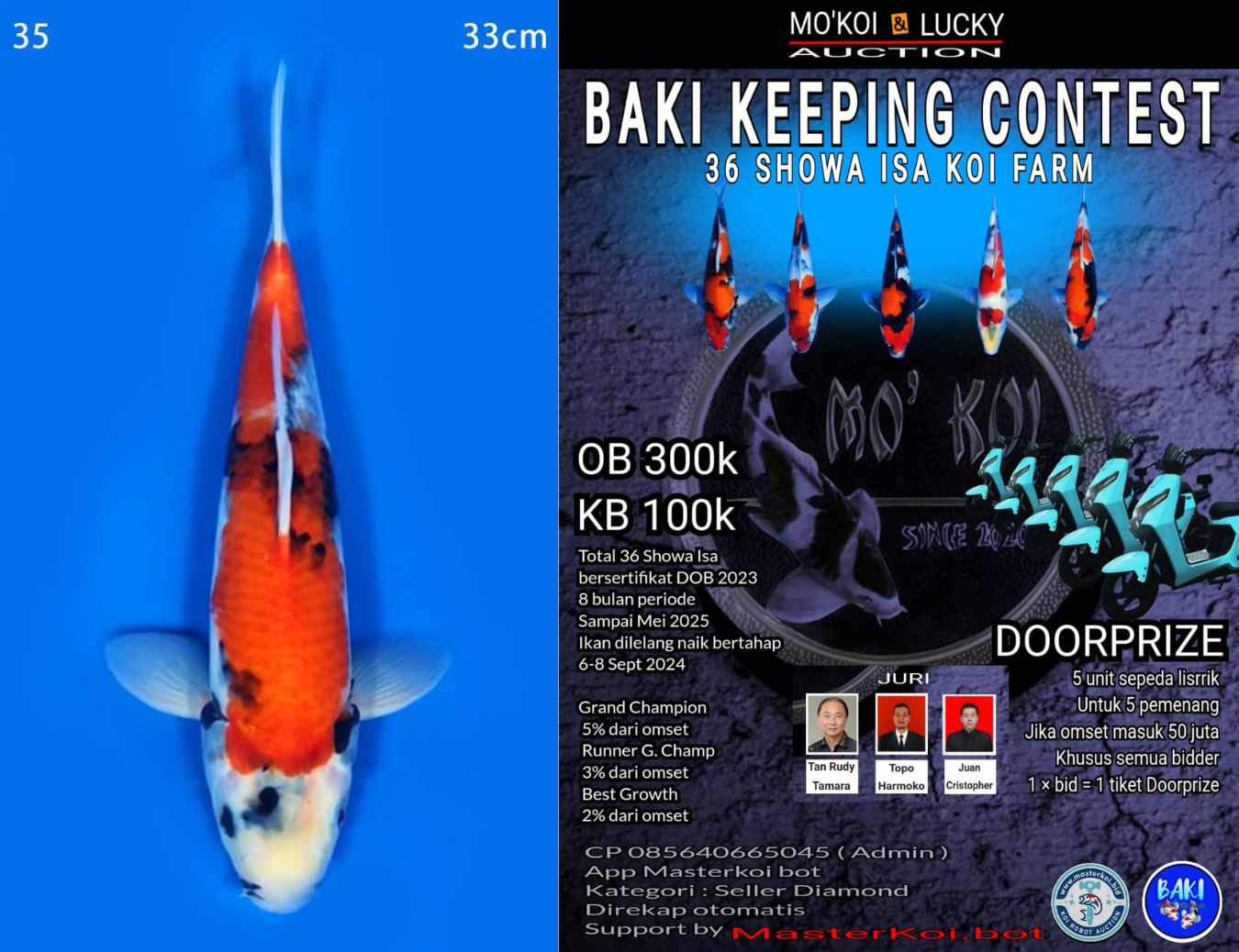 Lelang Koi Online, Jual Beli Ikan Koi, Pusat Jual Beli Koi, Info Lelang Koi Hari Ini, Platform Jual Beli Koi, Jual Beli Ikan Koi Online, Marketplace Ikan Koi, Jual Koi Terbaik, Tempat Beli Koi Berkualitas, Pasar Ikan Koi Online Terpercaya, Penjual Ikan Koi Terpercaya, Beli Koi Hias Online, Ikan Koi untuk Dijual, Koi Kualitas Terbaik, Toko Online Ikan Koi, Koi Hias Untuk Dijual, Jual Beli Ikan Koi Lokal, Koi Indonesia Online, Pusat Jual Beli Koi Terbesar