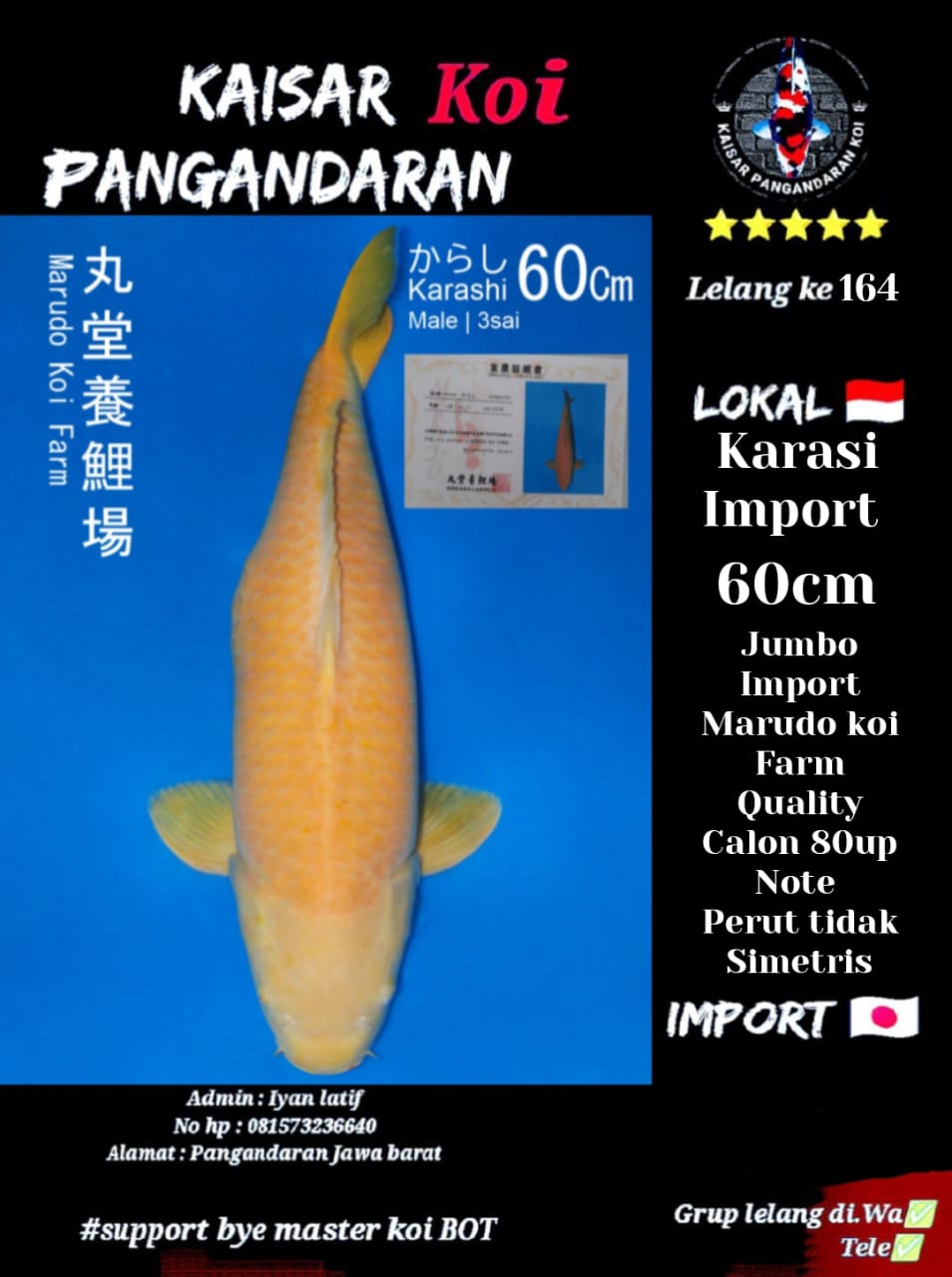 Lelang Koi Online, Jual Beli Ikan Koi, Pusat Jual Beli Koi, Info Lelang Koi Hari Ini, Platform Jual Beli Koi, Jual Beli Ikan Koi Online, Marketplace Ikan Koi, Jual Koi Terbaik, Tempat Beli Koi Berkualitas, Pasar Ikan Koi Online Terpercaya, Penjual Ikan Koi Terpercaya, Beli Koi Hias Online, Ikan Koi untuk Dijual, Koi Kualitas Terbaik, Toko Online Ikan Koi, Koi Hias Untuk Dijual, Jual Beli Ikan Koi Lokal, Koi Indonesia Online, Pusat Jual Beli Koi Terbesar