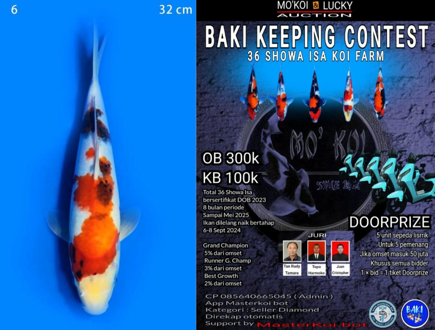 Lelang Koi Online, Jual Beli Ikan Koi, Pusat Jual Beli Koi, Info Lelang Koi Hari Ini, Platform Jual Beli Koi, Jual Beli Ikan Koi Online, Marketplace Ikan Koi, Jual Koi Terbaik, Tempat Beli Koi Berkualitas, Pasar Ikan Koi Online Terpercaya, Penjual Ikan Koi Terpercaya, Beli Koi Hias Online, Ikan Koi untuk Dijual, Koi Kualitas Terbaik, Toko Online Ikan Koi, Koi Hias Untuk Dijual, Jual Beli Ikan Koi Lokal, Koi Indonesia Online, Pusat Jual Beli Koi Terbesar