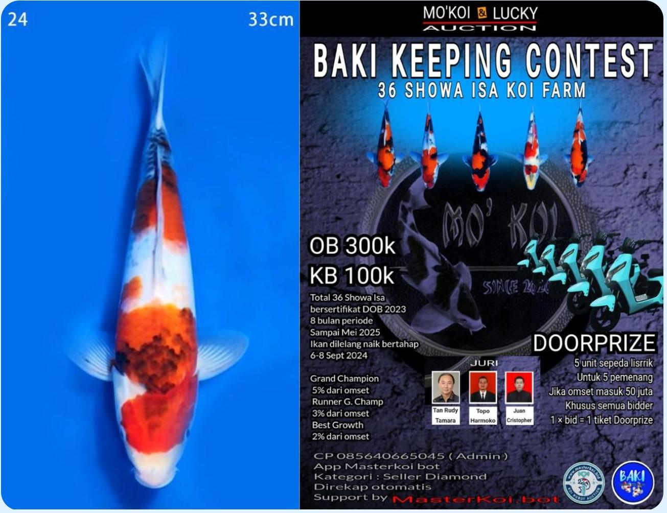 Lelang Koi Online, Jual Beli Ikan Koi, Pusat Jual Beli Koi, Info Lelang Koi Hari Ini, Platform Jual Beli Koi, Jual Beli Ikan Koi Online, Marketplace Ikan Koi, Jual Koi Terbaik, Tempat Beli Koi Berkualitas, Pasar Ikan Koi Online Terpercaya, Penjual Ikan Koi Terpercaya, Beli Koi Hias Online, Ikan Koi untuk Dijual, Koi Kualitas Terbaik, Toko Online Ikan Koi, Koi Hias Untuk Dijual, Jual Beli Ikan Koi Lokal, Koi Indonesia Online, Pusat Jual Beli Koi Terbesar