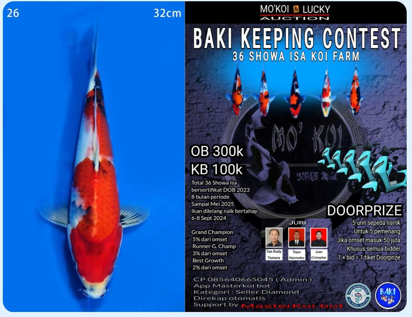 Lelang Koi Online, Jual Beli Ikan Koi, Pusat Jual Beli Koi, Info Lelang Koi Hari Ini, Platform Jual Beli Koi, Jual Beli Ikan Koi Online, Marketplace Ikan Koi, Jual Koi Terbaik, Tempat Beli Koi Berkualitas, Pasar Ikan Koi Online Terpercaya, Penjual Ikan Koi Terpercaya, Beli Koi Hias Online, Ikan Koi untuk Dijual, Koi Kualitas Terbaik, Toko Online Ikan Koi, Koi Hias Untuk Dijual, Jual Beli Ikan Koi Lokal, Koi Indonesia Online, Pusat Jual Beli Koi Terbesar