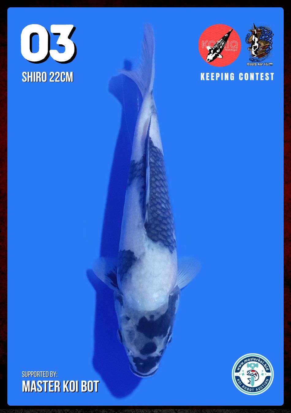 Lelang Koi Online, Jual Beli Ikan Koi, Pusat Jual Beli Koi, Info Lelang Koi Hari Ini, Platform Jual Beli Koi, Jual Beli Ikan Koi Online, Marketplace Ikan Koi, Jual Koi Terbaik, Tempat Beli Koi Berkualitas, Pasar Ikan Koi Online Terpercaya, Penjual Ikan Koi Terpercaya, Beli Koi Hias Online, Ikan Koi untuk Dijual, Koi Kualitas Terbaik, Toko Online Ikan Koi, Koi Hias Untuk Dijual, Jual Beli Ikan Koi Lokal, Koi Indonesia Online, Pusat Jual Beli Koi Terbesar