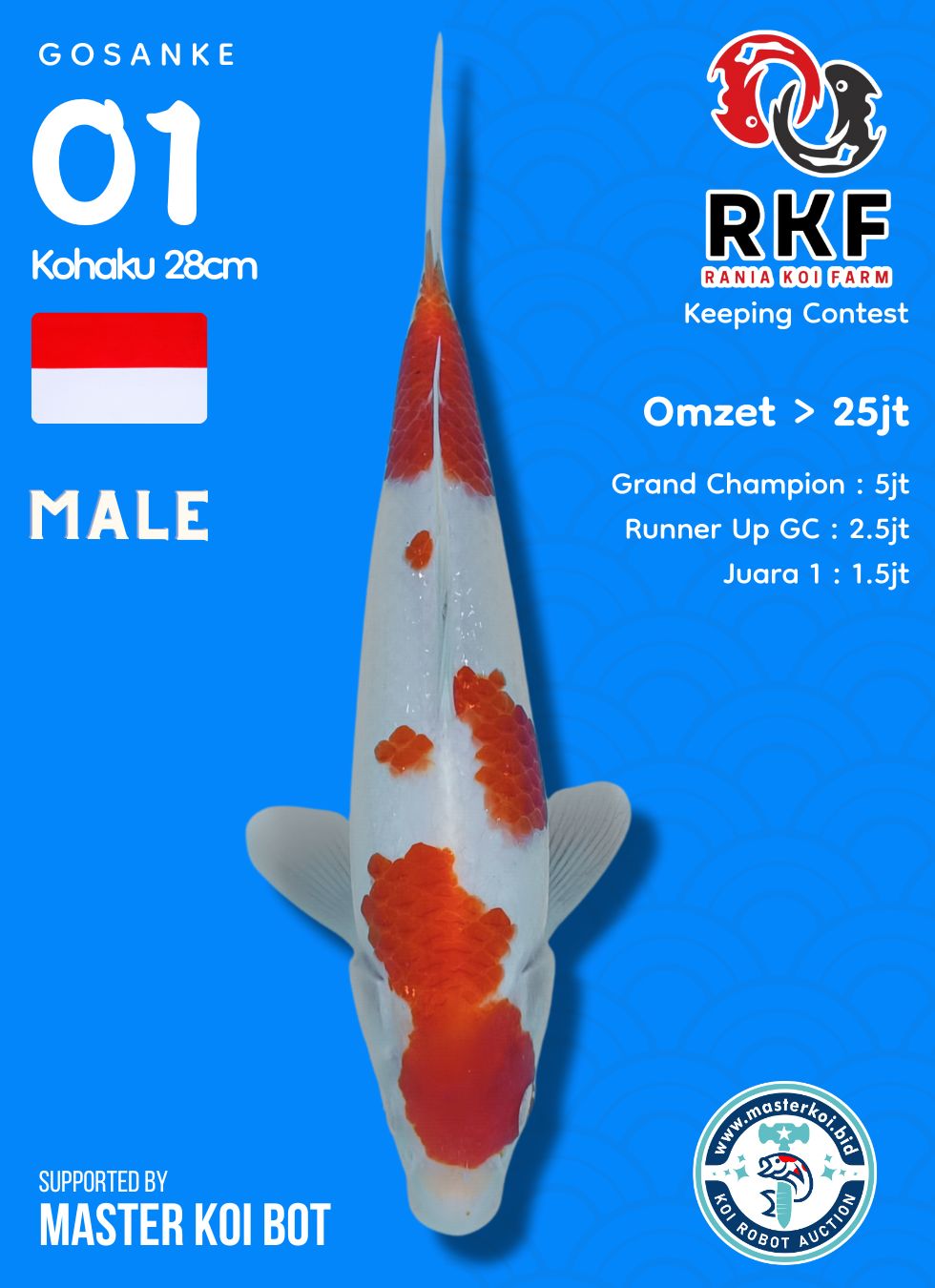 Lelang Koi Online, Jual Beli Ikan Koi, Pusat Jual Beli Koi, Info Lelang Koi Hari Ini, Platform Jual Beli Koi, Jual Beli Ikan Koi Online, Marketplace Ikan Koi, Jual Koi Terbaik, Tempat Beli Koi Berkualitas, Pasar Ikan Koi Online Terpercaya, Penjual Ikan Koi Terpercaya, Beli Koi Hias Online, Ikan Koi untuk Dijual, Koi Kualitas Terbaik, Toko Online Ikan Koi, Koi Hias Untuk Dijual, Jual Beli Ikan Koi Lokal, Koi Indonesia Online, Pusat Jual Beli Koi Terbesar