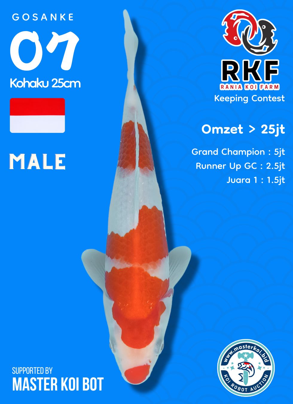 Lelang Koi Online, Jual Beli Ikan Koi, Pusat Jual Beli Koi, Info Lelang Koi Hari Ini, Platform Jual Beli Koi, Jual Beli Ikan Koi Online, Marketplace Ikan Koi, Jual Koi Terbaik, Tempat Beli Koi Berkualitas, Pasar Ikan Koi Online Terpercaya, Penjual Ikan Koi Terpercaya, Beli Koi Hias Online, Ikan Koi untuk Dijual, Koi Kualitas Terbaik, Toko Online Ikan Koi, Koi Hias Untuk Dijual, Jual Beli Ikan Koi Lokal, Koi Indonesia Online, Pusat Jual Beli Koi Terbesar