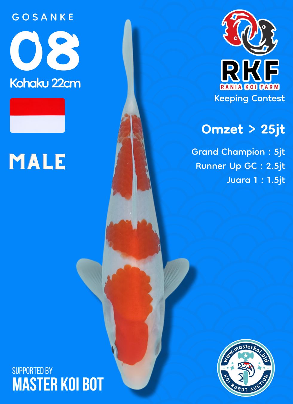 Lelang Koi Online, Jual Beli Ikan Koi, Pusat Jual Beli Koi, Info Lelang Koi Hari Ini, Platform Jual Beli Koi, Jual Beli Ikan Koi Online, Marketplace Ikan Koi, Jual Koi Terbaik, Tempat Beli Koi Berkualitas, Pasar Ikan Koi Online Terpercaya, Penjual Ikan Koi Terpercaya, Beli Koi Hias Online, Ikan Koi untuk Dijual, Koi Kualitas Terbaik, Toko Online Ikan Koi, Koi Hias Untuk Dijual, Jual Beli Ikan Koi Lokal, Koi Indonesia Online, Pusat Jual Beli Koi Terbesar