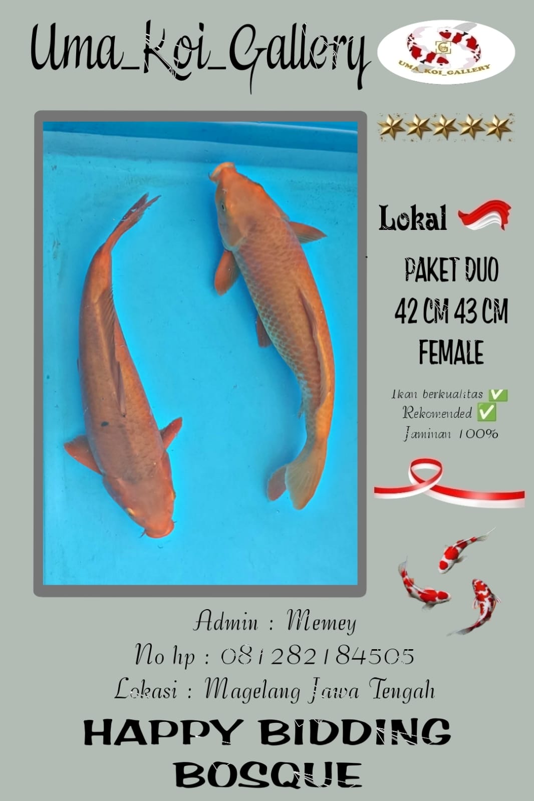 Lelang Koi Online, Jual Beli Ikan Koi, Pusat Jual Beli Koi, Info Lelang Koi Hari Ini, Platform Jual Beli Koi, Jual Beli Ikan Koi Online, Marketplace Ikan Koi, Jual Koi Terbaik, Tempat Beli Koi Berkualitas, Pasar Ikan Koi Online Terpercaya, Penjual Ikan Koi Terpercaya, Beli Koi Hias Online, Ikan Koi untuk Dijual, Koi Kualitas Terbaik, Toko Online Ikan Koi, Koi Hias Untuk Dijual, Jual Beli Ikan Koi Lokal, Koi Indonesia Online, Pusat Jual Beli Koi Terbesar