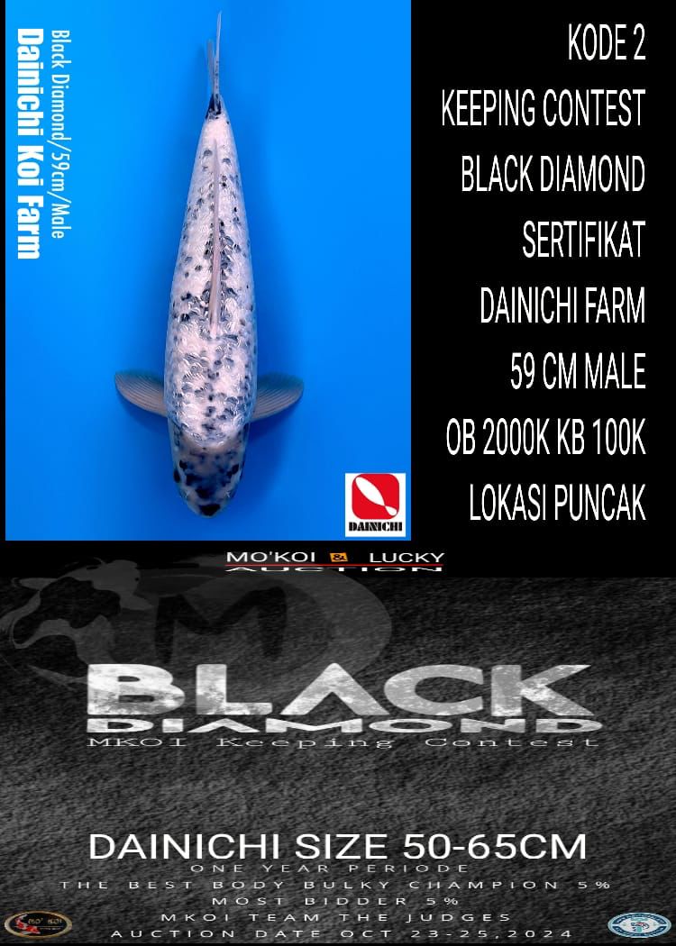 BLACK DIAMOND 59cm