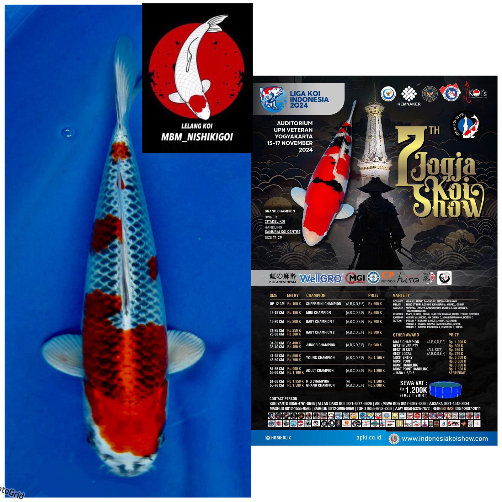 Lelang Koi Online, Jual Beli Ikan Koi, Pusat Jual Beli Koi, Info Lelang Koi Hari Ini, Platform Jual Beli Koi, Jual Beli Ikan Koi Online, Marketplace Ikan Koi, Jual Koi Terbaik, Tempat Beli Koi Berkualitas, Pasar Ikan Koi Online Terpercaya, Penjual Ikan Koi Terpercaya, Beli Koi Hias Online, Ikan Koi untuk Dijual, Koi Kualitas Terbaik, Toko Online Ikan Koi, Koi Hias Untuk Dijual, Jual Beli Ikan Koi Lokal, Koi Indonesia Online, Pusat Jual Beli Koi Terbesar