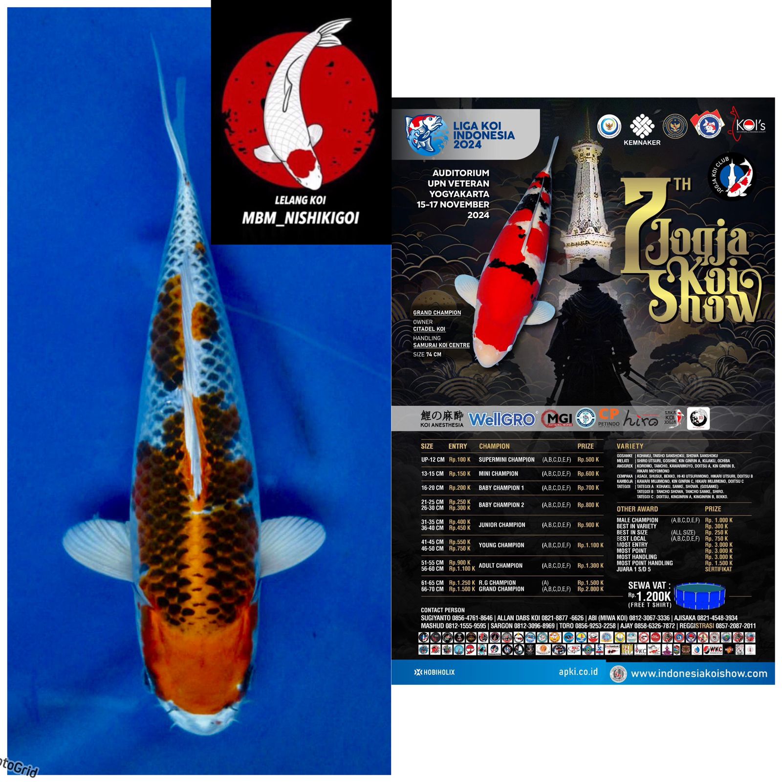 Lelang Koi Online, Jual Beli Ikan Koi, Pusat Jual Beli Koi, Info Lelang Koi Hari Ini, Platform Jual Beli Koi, Jual Beli Ikan Koi Online, Marketplace Ikan Koi, Jual Koi Terbaik, Tempat Beli Koi Berkualitas, Pasar Ikan Koi Online Terpercaya, Penjual Ikan Koi Terpercaya, Beli Koi Hias Online, Ikan Koi untuk Dijual, Koi Kualitas Terbaik, Toko Online Ikan Koi, Koi Hias Untuk Dijual, Jual Beli Ikan Koi Lokal, Koi Indonesia Online, Pusat Jual Beli Koi Terbesar