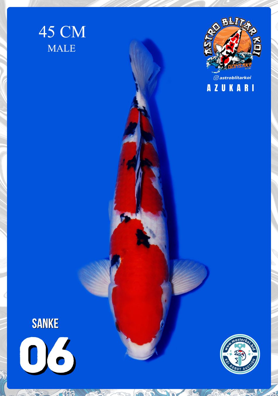 SANKE 45cm