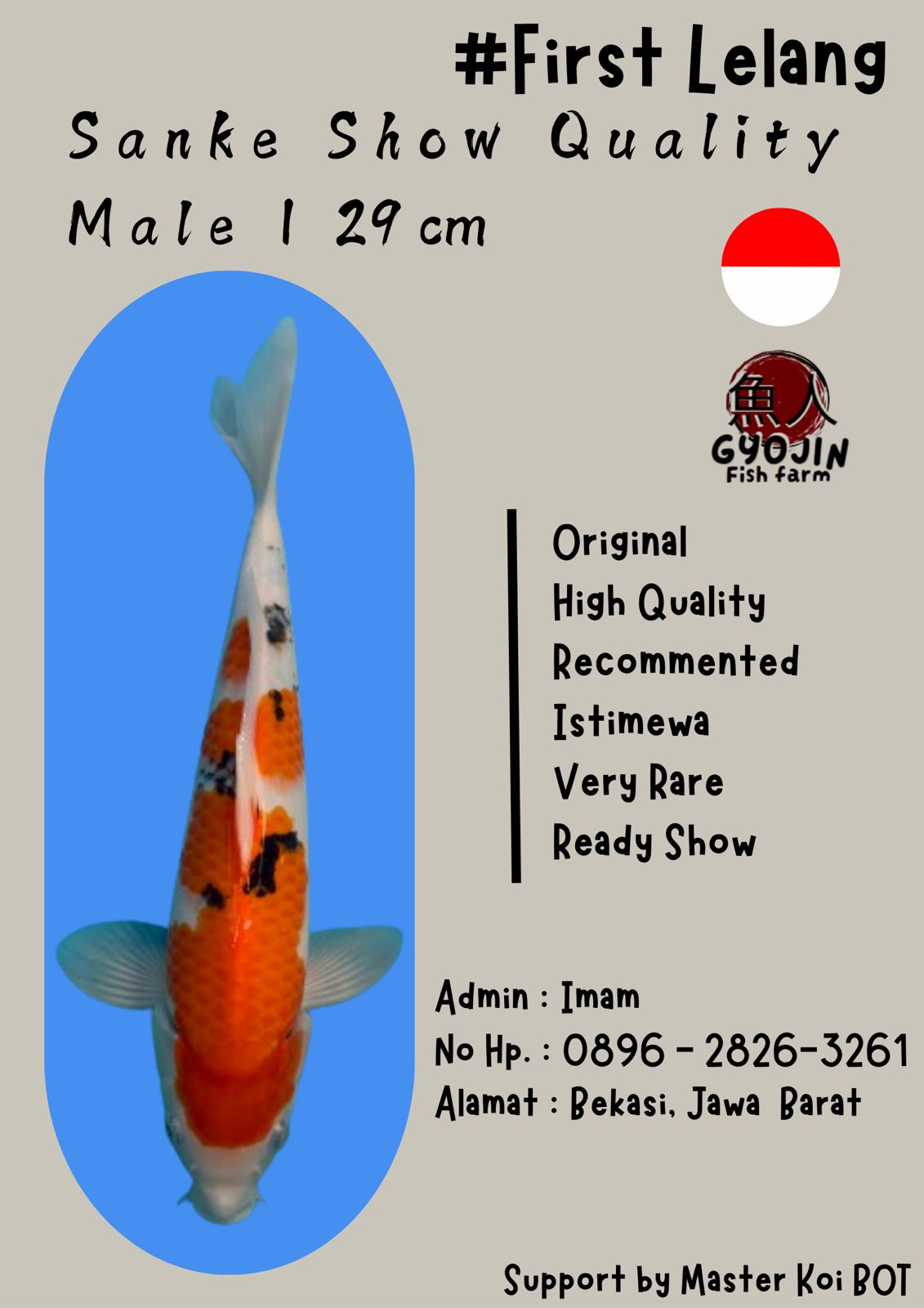 Lelang Koi Online, Jual Beli Ikan Koi, Pusat Jual Beli Koi, Info Lelang Koi Hari Ini, Platform Jual Beli Koi, Jual Beli Ikan Koi Online, Marketplace Ikan Koi, Jual Koi Terbaik, Tempat Beli Koi Berkualitas, Pasar Ikan Koi Online Terpercaya, Penjual Ikan Koi Terpercaya, Beli Koi Hias Online, Ikan Koi untuk Dijual, Koi Kualitas Terbaik, Toko Online Ikan Koi, Koi Hias Untuk Dijual, Jual Beli Ikan Koi Lokal, Koi Indonesia Online, Pusat Jual Beli Koi Terbesar