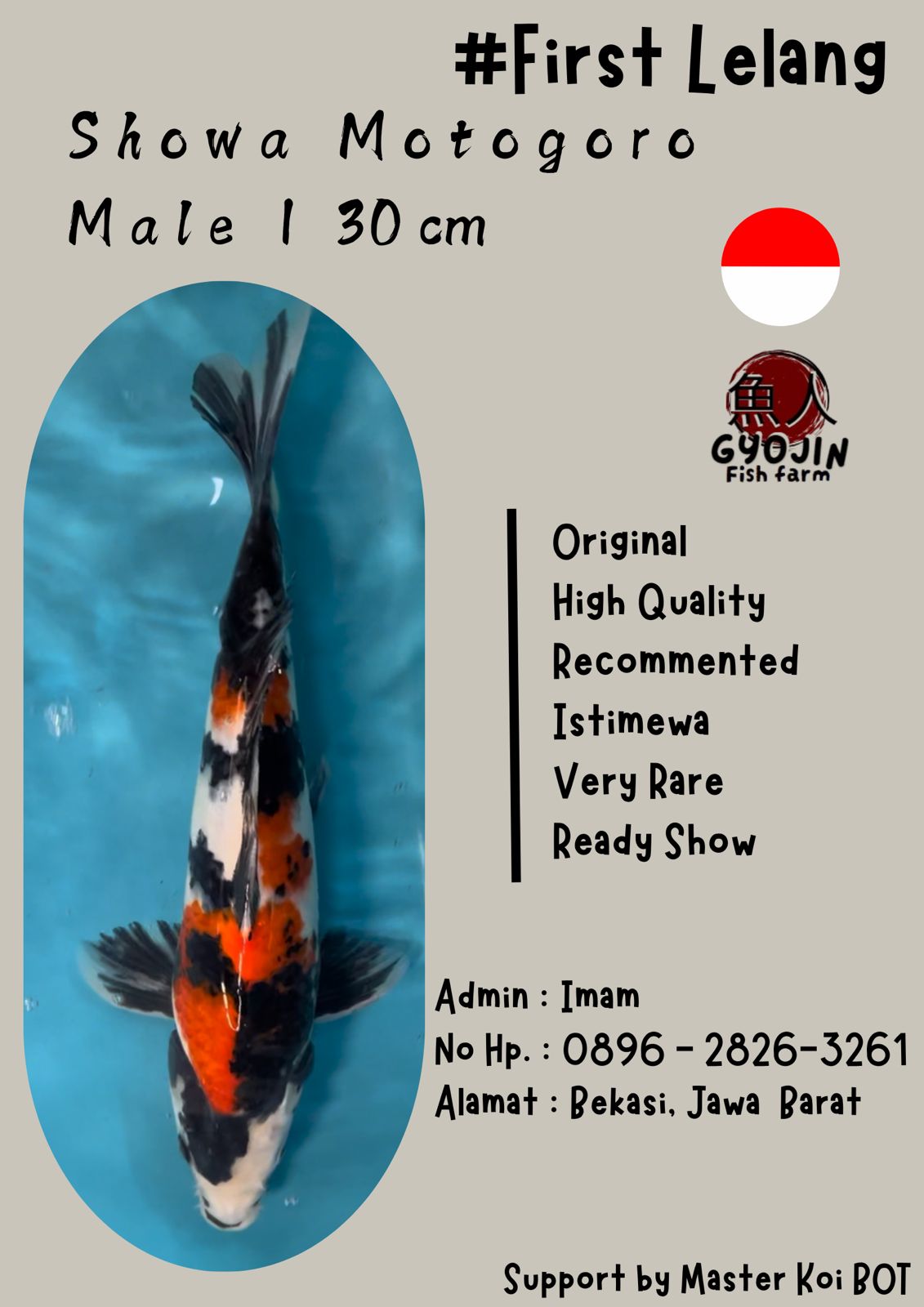 Lelang Koi Online, Jual Beli Ikan Koi, Pusat Jual Beli Koi, Info Lelang Koi Hari Ini, Platform Jual Beli Koi, Jual Beli Ikan Koi Online, Marketplace Ikan Koi, Jual Koi Terbaik, Tempat Beli Koi Berkualitas, Pasar Ikan Koi Online Terpercaya, Penjual Ikan Koi Terpercaya, Beli Koi Hias Online, Ikan Koi untuk Dijual, Koi Kualitas Terbaik, Toko Online Ikan Koi, Koi Hias Untuk Dijual, Jual Beli Ikan Koi Lokal, Koi Indonesia Online, Pusat Jual Beli Koi Terbesar
