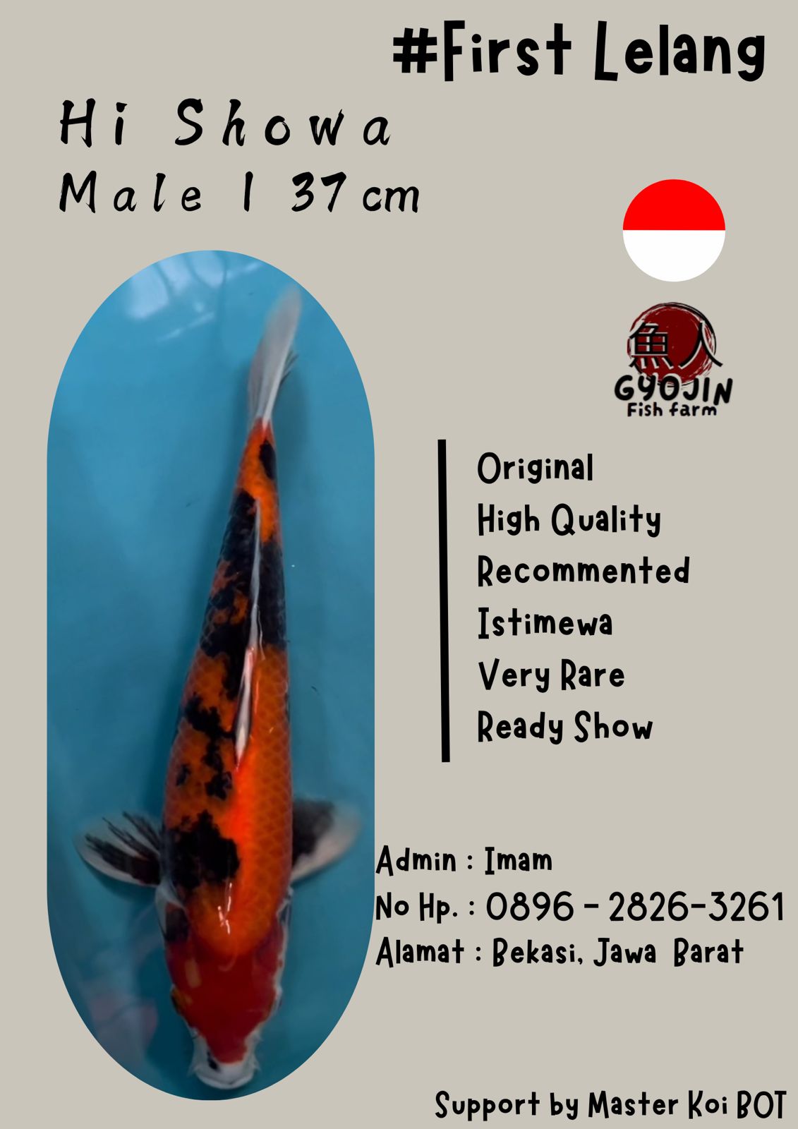 Lelang Koi Online, Jual Beli Ikan Koi, Pusat Jual Beli Koi, Info Lelang Koi Hari Ini, Platform Jual Beli Koi, Jual Beli Ikan Koi Online, Marketplace Ikan Koi, Jual Koi Terbaik, Tempat Beli Koi Berkualitas, Pasar Ikan Koi Online Terpercaya, Penjual Ikan Koi Terpercaya, Beli Koi Hias Online, Ikan Koi untuk Dijual, Koi Kualitas Terbaik, Toko Online Ikan Koi, Koi Hias Untuk Dijual, Jual Beli Ikan Koi Lokal, Koi Indonesia Online, Pusat Jual Beli Koi Terbesar