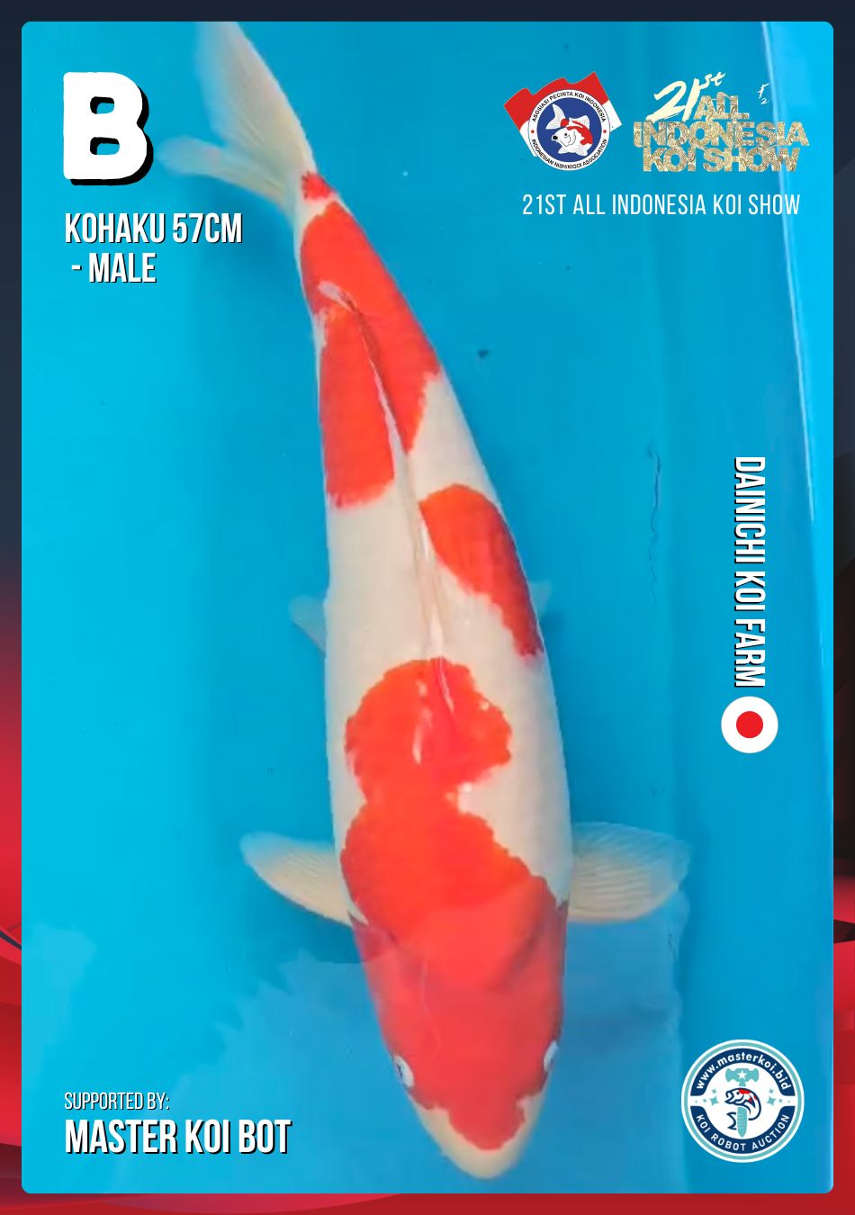 Lelang Koi Online, Jual Beli Ikan Koi, Pusat Jual Beli Koi, Info Lelang Koi Hari Ini, Platform Jual Beli Koi, Jual Beli Ikan Koi Online, Marketplace Ikan Koi, Jual Koi Terbaik, Tempat Beli Koi Berkualitas, Pasar Ikan Koi Online Terpercaya, Penjual Ikan Koi Terpercaya, Beli Koi Hias Online, Ikan Koi untuk Dijual, Koi Kualitas Terbaik, Toko Online Ikan Koi, Koi Hias Untuk Dijual, Jual Beli Ikan Koi Lokal, Koi Indonesia Online, Pusat Jual Beli Koi Terbesar