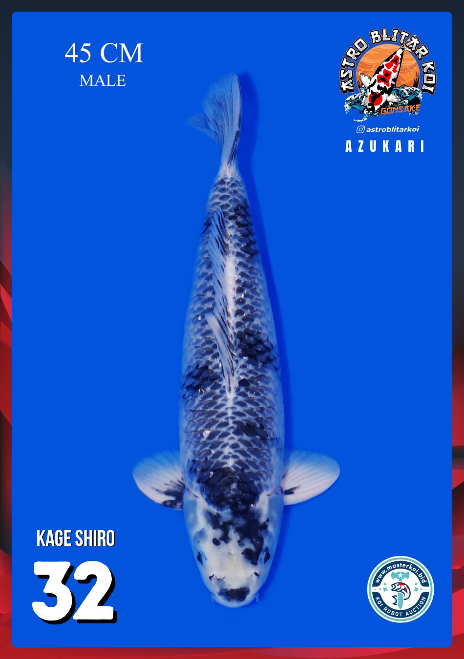 KAGE SHIRO 45cm