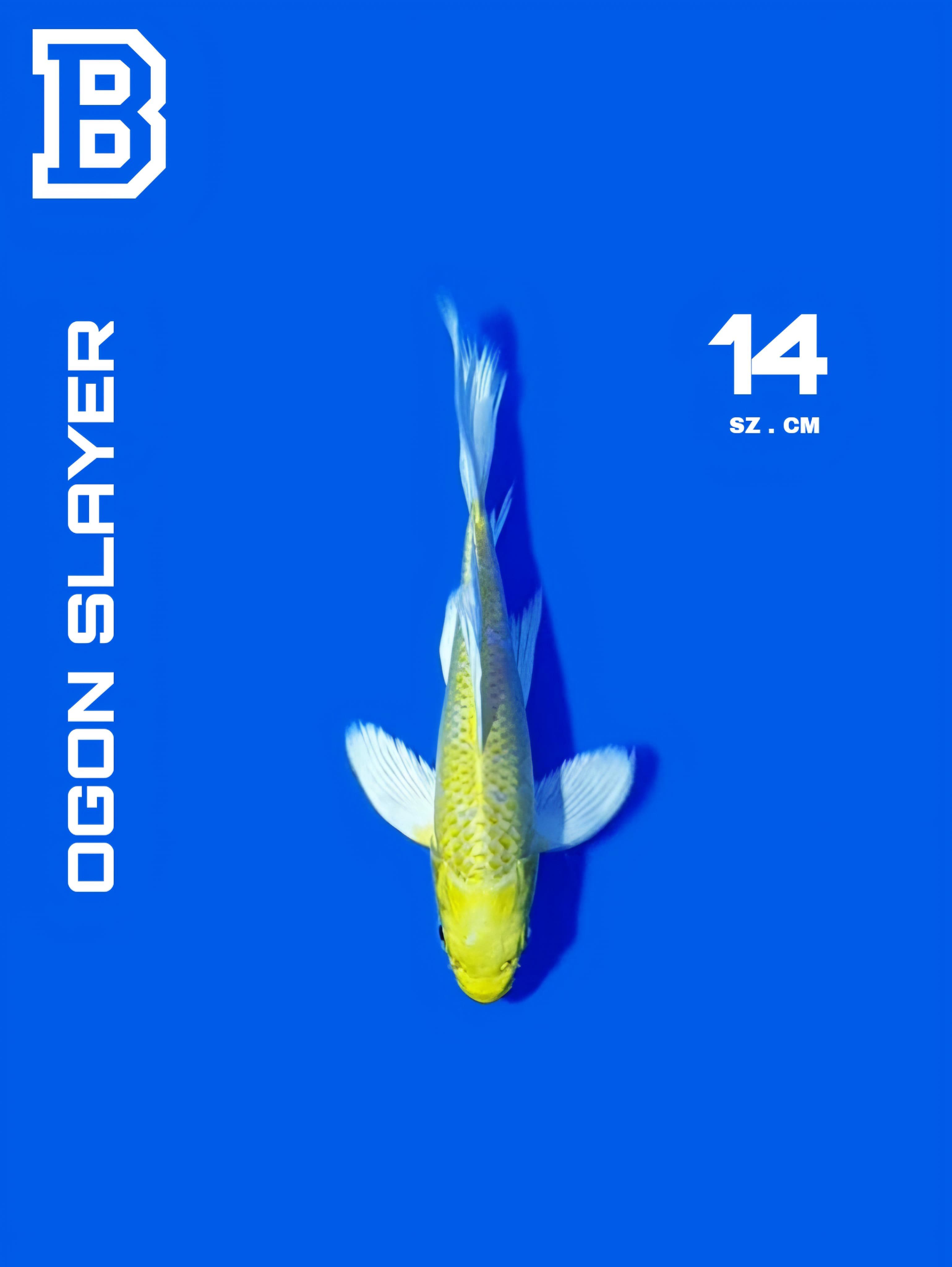 OGON SLAYER 14cm